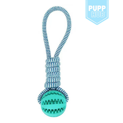 Durable Dental Delight Ball toy with cotton rope for dogs