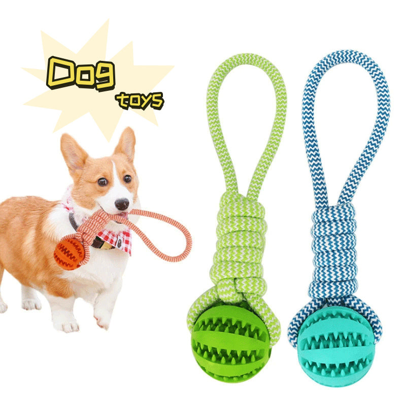 Bright green and blue dental chew balls with cotton rope for playful dogs.