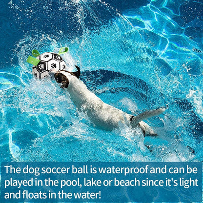 Dog splashing in water with interactive soccer ball, promoting active play.