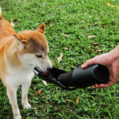 Shiba Inu drinking from a portable dog water bottle outdoors.