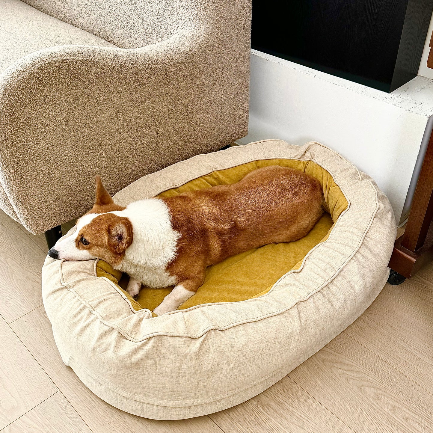 Corgi relaxing in plush beige dog bed with yellow lining for ultimate comfort