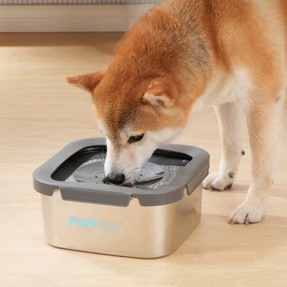 Shiba Inu drinking from Zero Splash Lock&Lock stainless steel dog bowl.