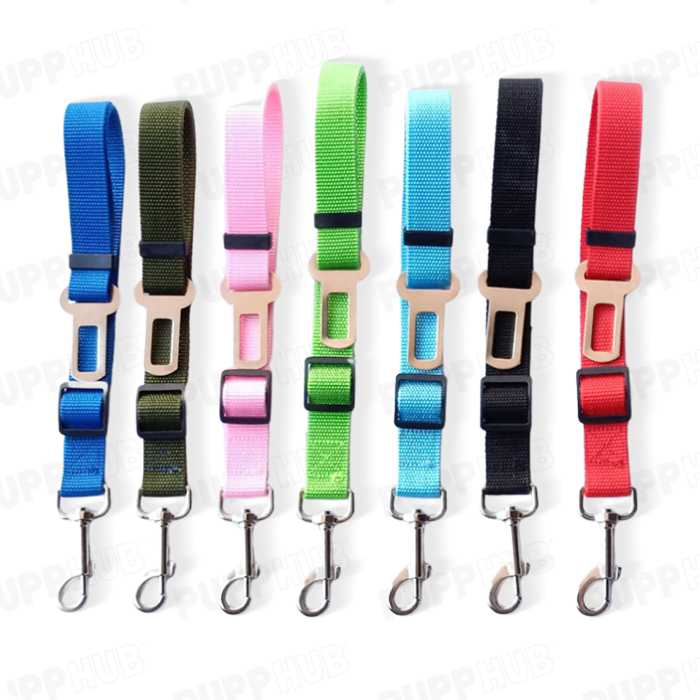 Variety of colorful adjustable travel safety leashes for pets