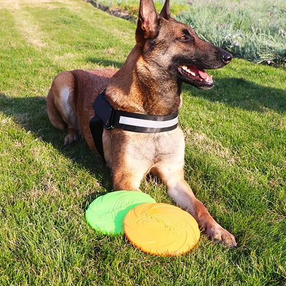 Dog resting on grass with orange and green Rubber Pupp Frisbees nearby