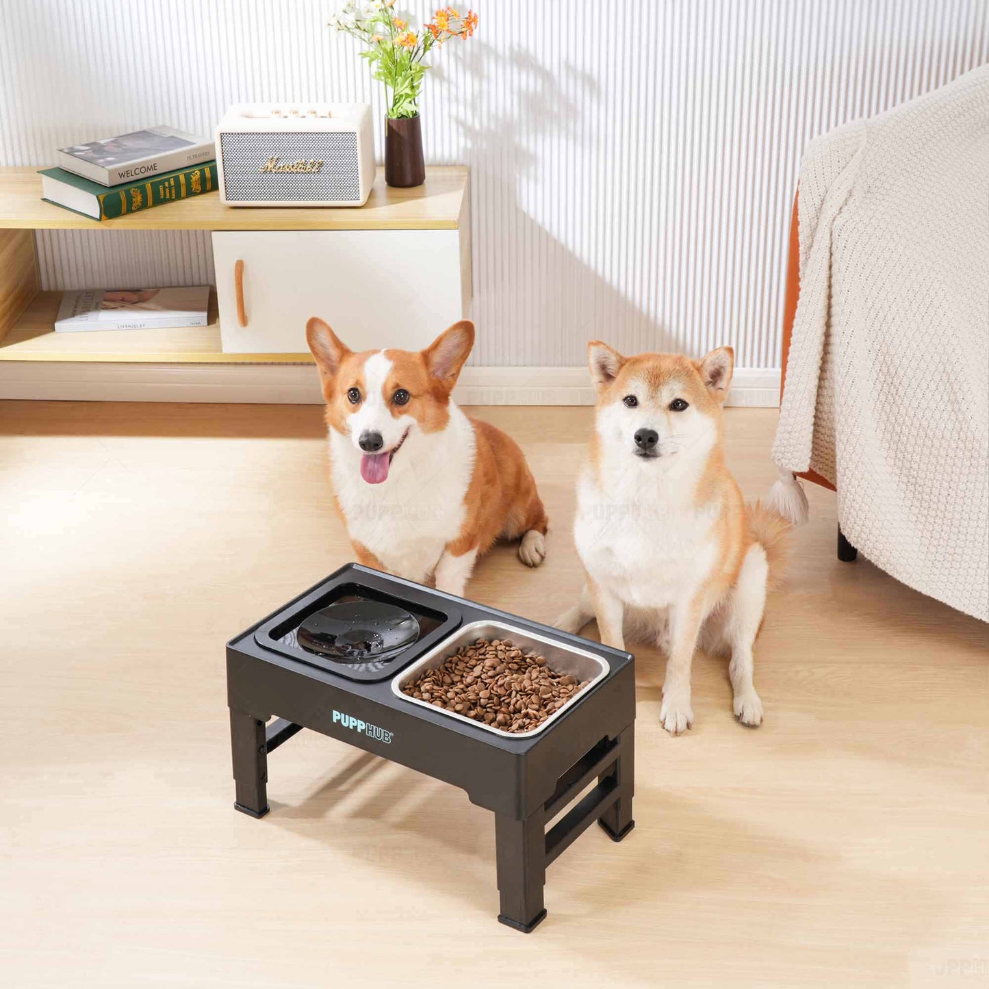 Two dogs beside the elevated Zero Splash Ultimate™ bowl with food and water.