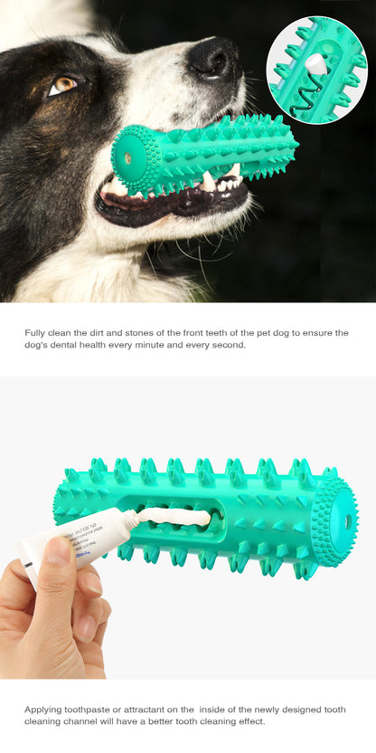 Dog chewing a green dental stick with textured spikes for better dental health