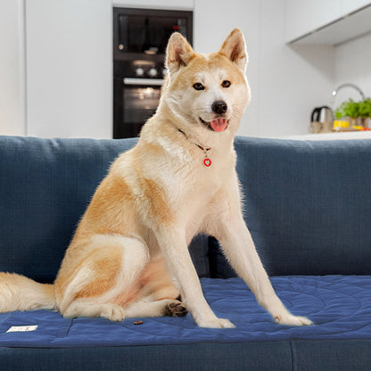 Light-colored dog resting on navy foldable mat in living room setting.