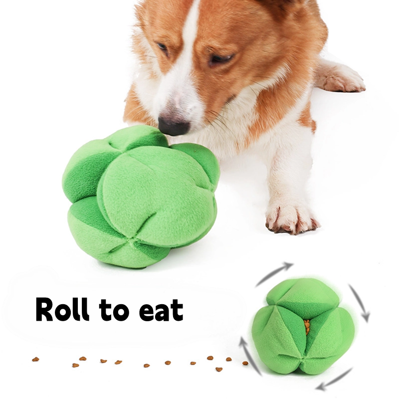 Corgi dog playing with green broccoli treat toy, engaging with cheerful design