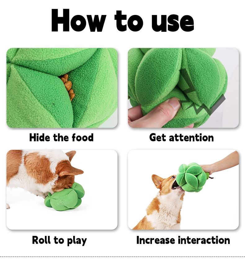 Steps to use PuppHub Interactive Broccoli Dog Toy: hide food, roll to play, increase interaction.