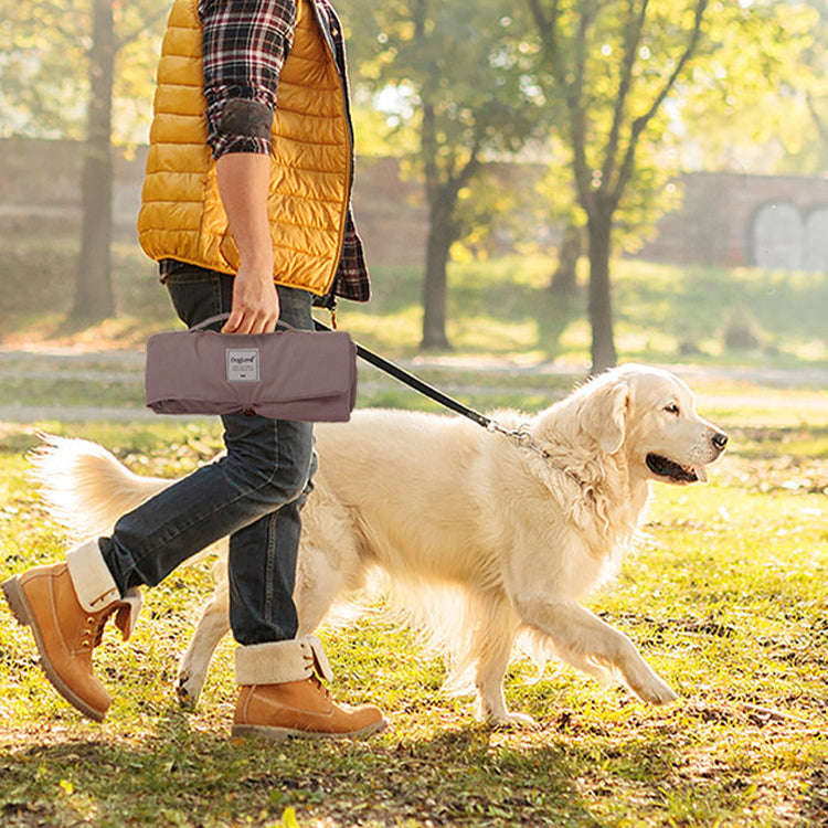 Person walking golden retriever with a folded waterproof dog mat in hand.