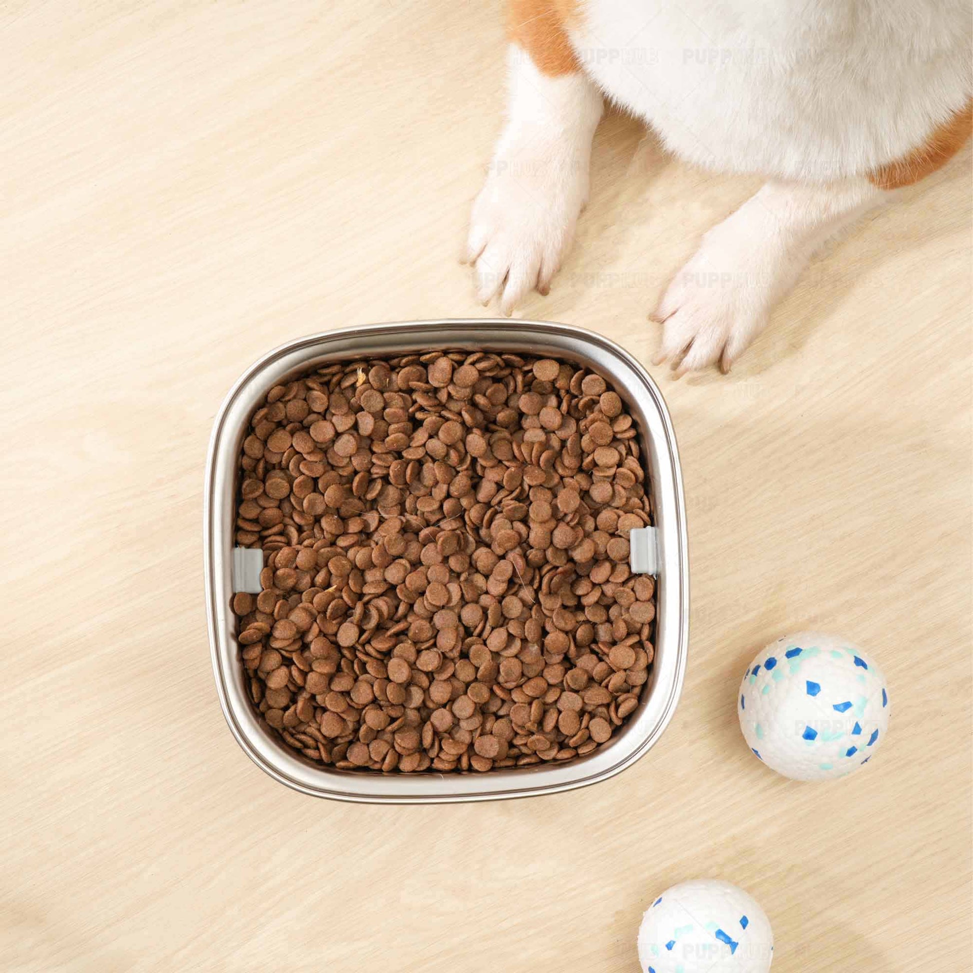 Stainless steel dog bowl with dry kibble and playful balls beside it.