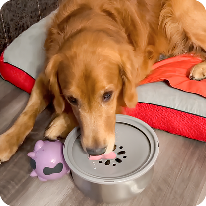 Golden retriever drinking from stainless steel anti splash dog bowl on a cozy bed.