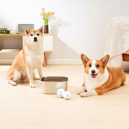 Two dogs beside the Zero Splash Lock & Lock No Spill Dog Bowl on a wooden floor.