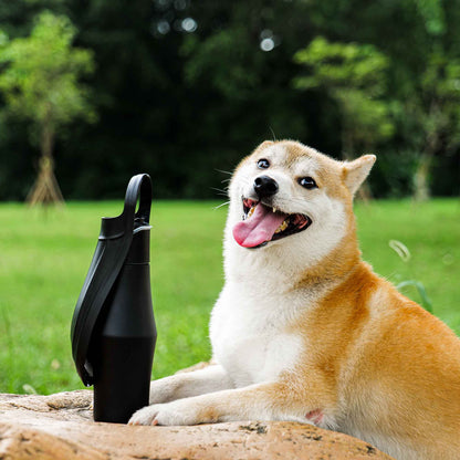 Cheerful Shiba Inu by portable water bottle, perfect for outdoor pet hydration.