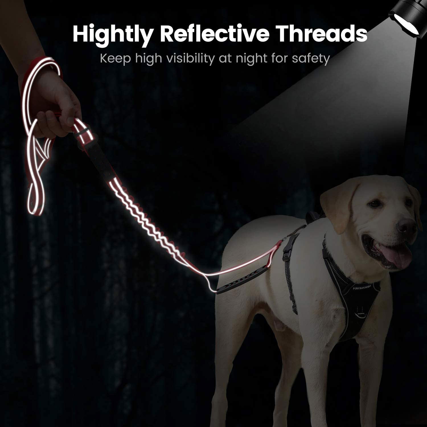 PuppHub Signature Leash with reflective threads showcased at night for safety.