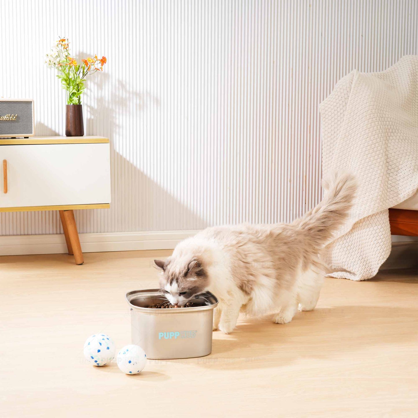 Cat drinking from Zero Splash stainless steel dog bowl indoors with dog toys.