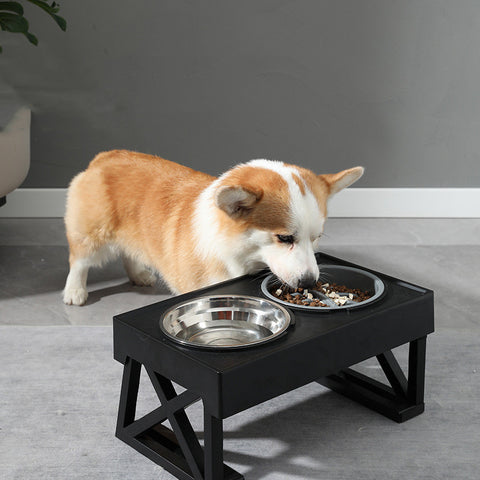 elevated dog bowls