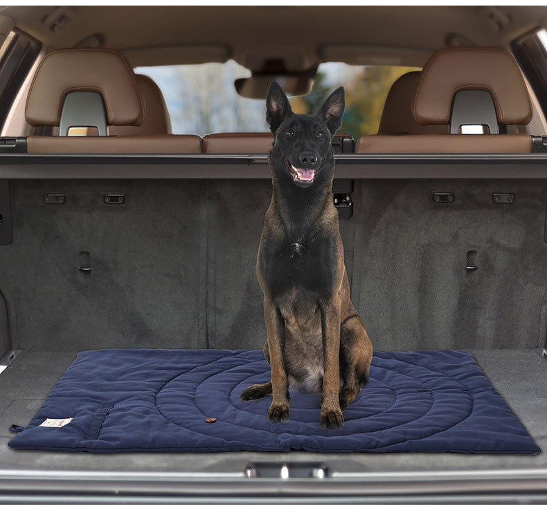 Dog sitting on navy blue foldable dog mat in a car trunk.