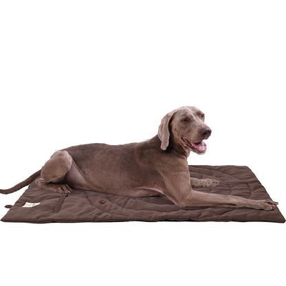 Brown dog lying on waterproof foldable storage sleeping mat