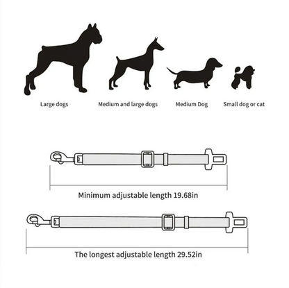 Dog size guide with adjustable travel safety leash length dimensions in inches.