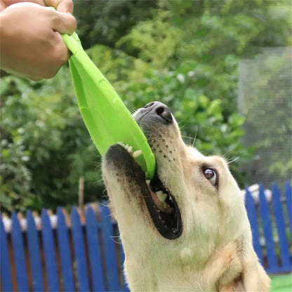 Labrador retriever playing tug-of-war with green Rubber Pupp Frisbee outdoors