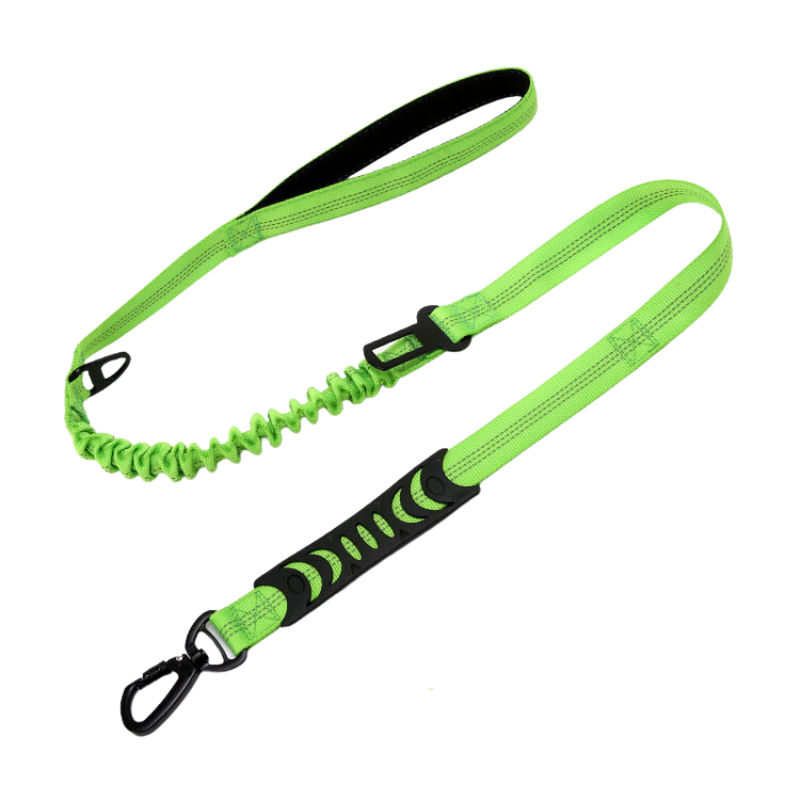 Green PuppHub Signature Leash with shock-absorbing bungee and padded dual handles