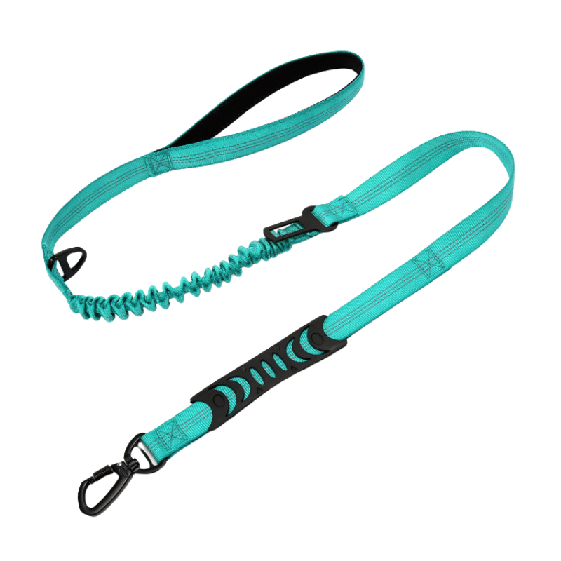 Teal PuppHub Signature Leash with shock-absorbing bungee and padded grip