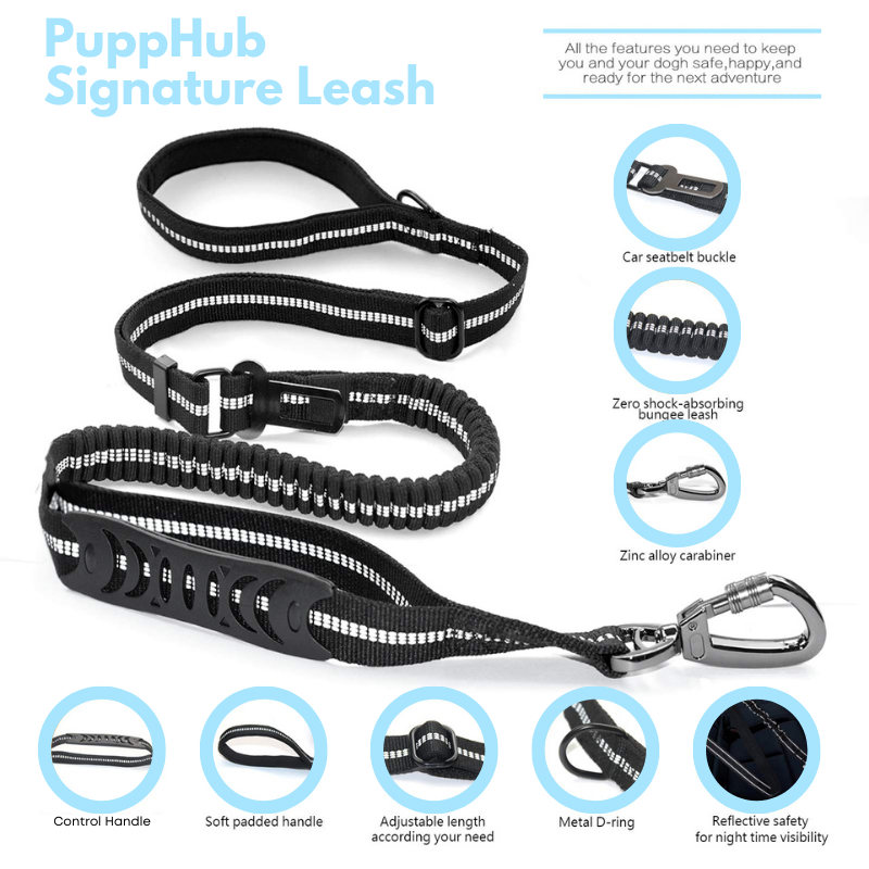 PuppHub Signature Leash with adjustable length, shock-absorbing cord, and reflective design